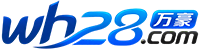 大玩家28预测网